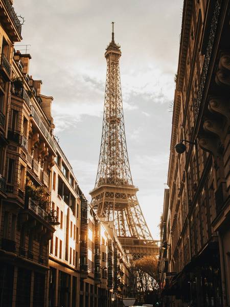 Ménil Bon Temps3